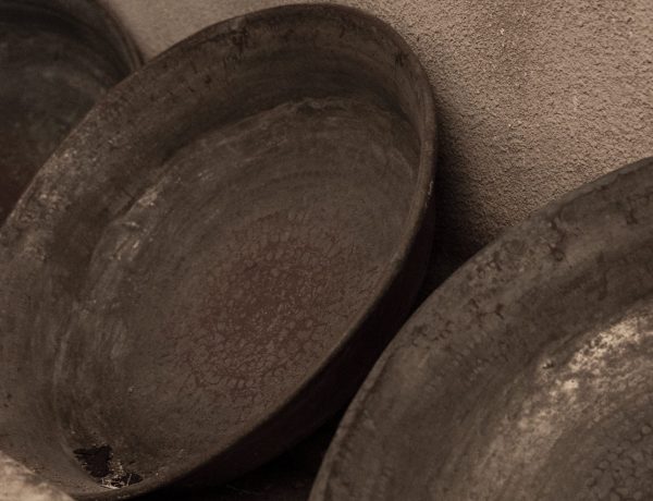 Apertura Speciale Museo del Latte