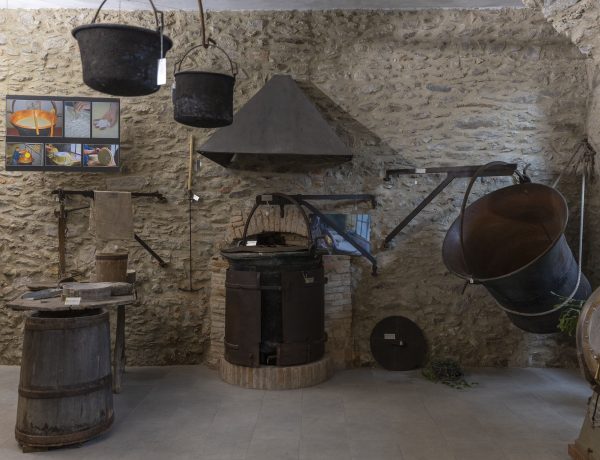 Aperture Museo del Latte e della Storia della Muggiasca – Luglio 2025