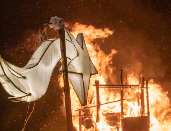 Avanti la Stella – Momenti di Pesa