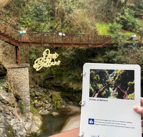 Progetto “Musei inclusivi”