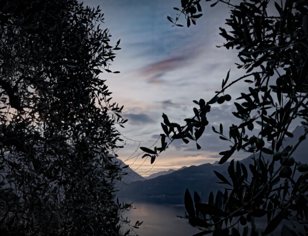 Corti tra Terra e Acqua