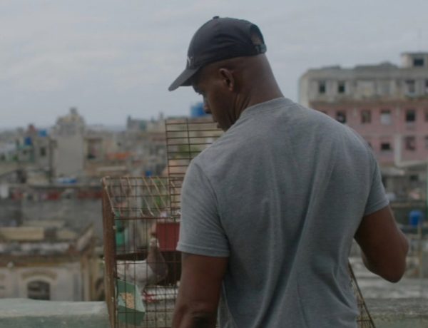Prima Corrente – La Calle Pura